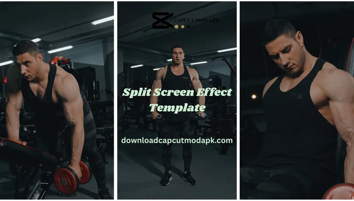 Split Screen Effect Template