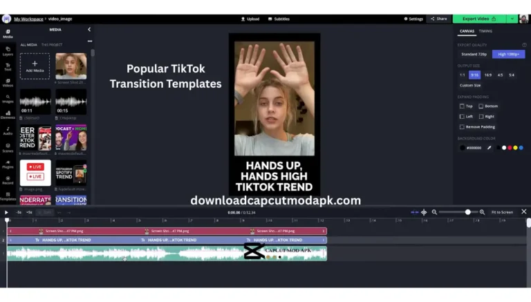 Popular TikTok Transition Templates